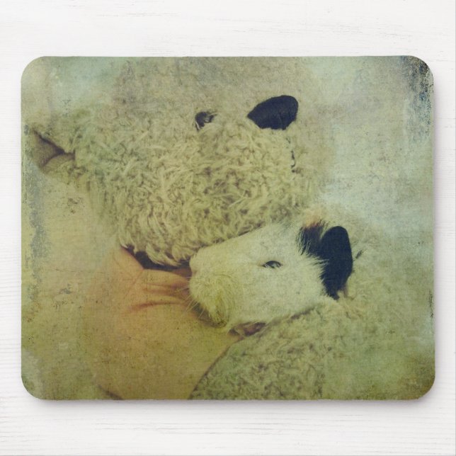 Mousepad Urso De Teddy Abraça Um Porco De Guiné (Frente)