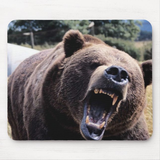 Mousepad Urso de ursinho rujir (Frente)