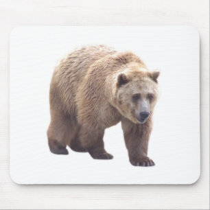 Mousepad Urso de urso