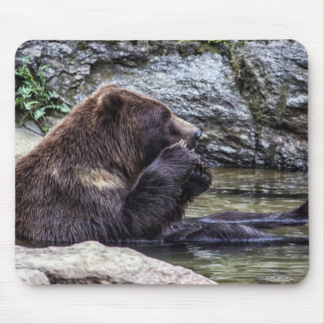 Mousepad Urso de urso bonito de Brown (Frente)