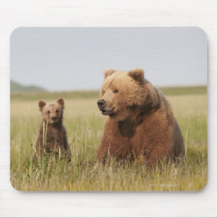 Mousepad Urso de urso com Cub