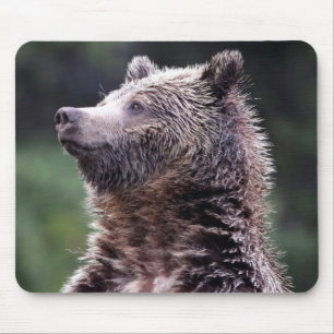 Mousepad Urso de urso ereto