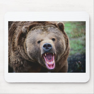 Mousepad Urso de urso rujir