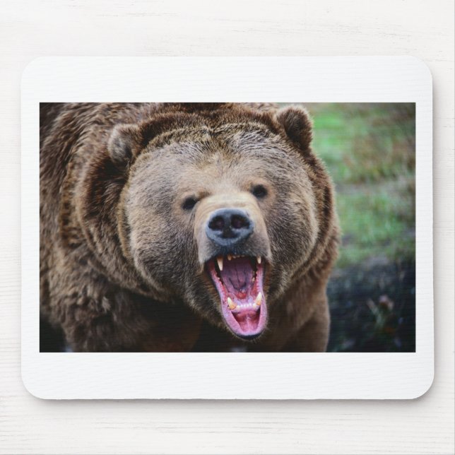 Mousepad Urso de urso rujir (Frente)