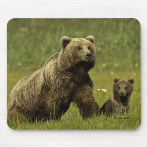 Mousepad Urso e filhote do Mama