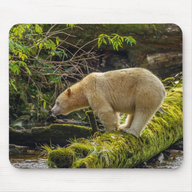 Mousepad Urso Espírito Branco (Frente)