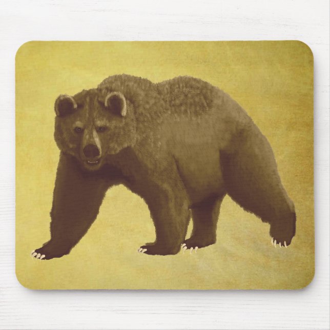 Mousepad Urso Grizzly (Frente)