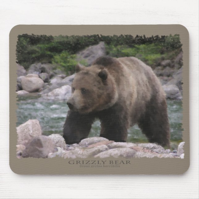 Mousepad Urso Grizzly - Pastas (Frente)