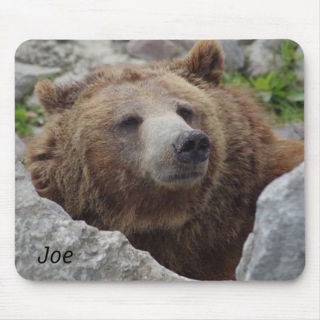 Mousepad Urso Kodiak (Frente)