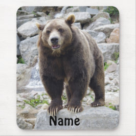 Mousepad Urso Kodiak em Pé sobre uma Rocha