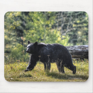Mousepad Urso Negro Atravessando Uma Pastagem Ranhura II