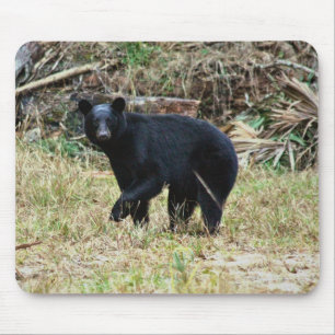 Mousepad Urso Negro da Flórida