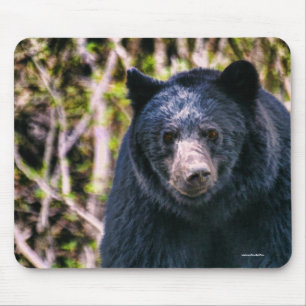 Mousepad Urso Negro Selvagem e Árvores Arte Selvagem