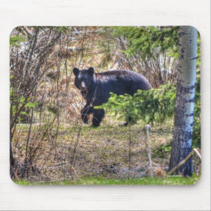 Mousepad Urso Negro Selvagem e Árvores Foto de Vida Selvage
