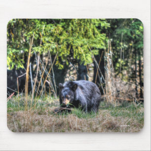 Mousepad Urso Negro Selvagem e Floresta Foto #Gift
