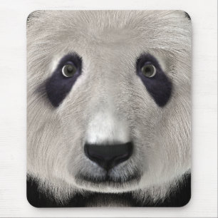 Mousepad Urso Panda