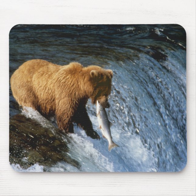 Mousepad Urso Pardo do Alasca Capturando Salmão em Brooks (Frente)