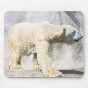 Mousepad urso polar