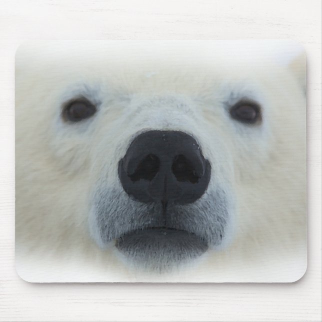 Mousepad Urso Polar (Frente)
