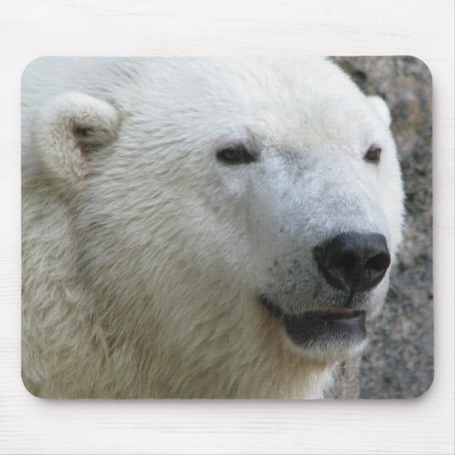 Mousepad Urso polar (Frente)
