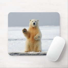 Mousepad Urso Polar