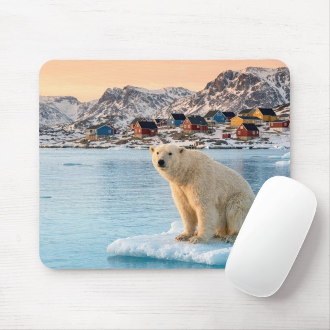 Mousepad Urso Polar (Com mouse)