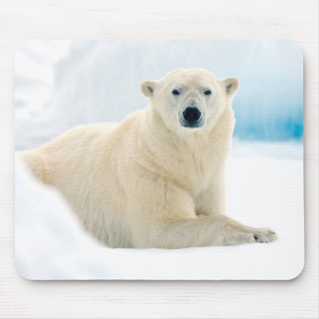 Mousepad Urso polar adulto grande javali no gelo de verão (Frente)