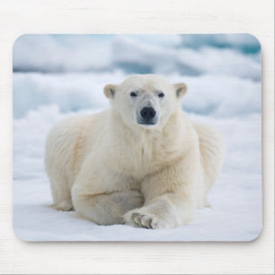 Mousepad Urso polar adulto no gelo do verão