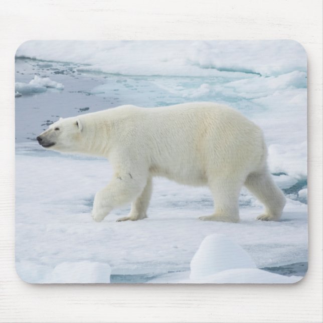 Mousepad Urso polar andando, Noruega (Frente)