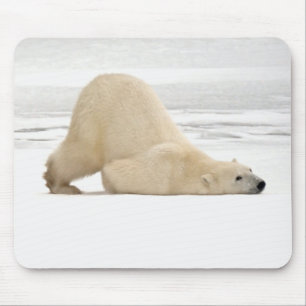 Mousepad Urso polar coçando-se em tundra congelada