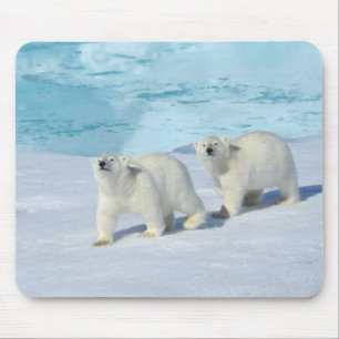 Mousepad Urso polar, dois copos no gelo de bloco, Ursus