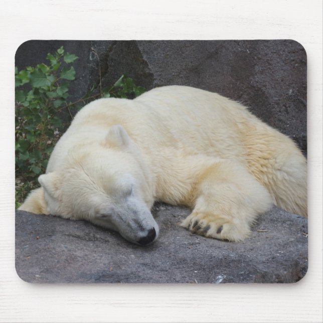 Mousepad Urso Polar Dormindo (Frente)
