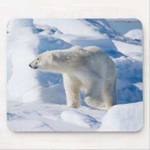 Mousepad Urso Polar Jovem Masculino