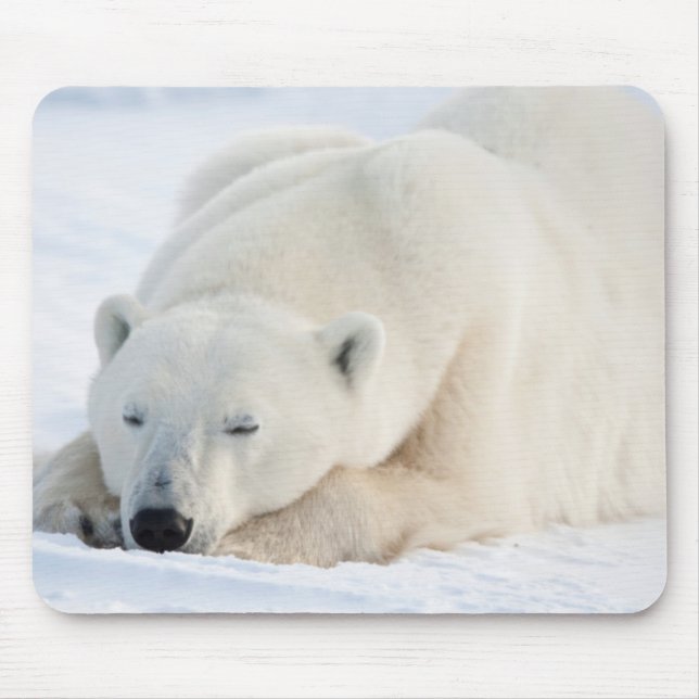 Mousepad Urso Polar no inverno (Frente)