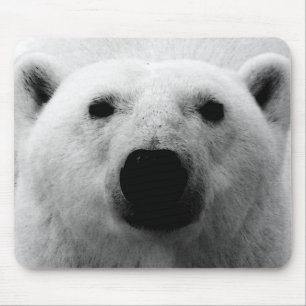Mousepad Urso Polar Preto e Branco