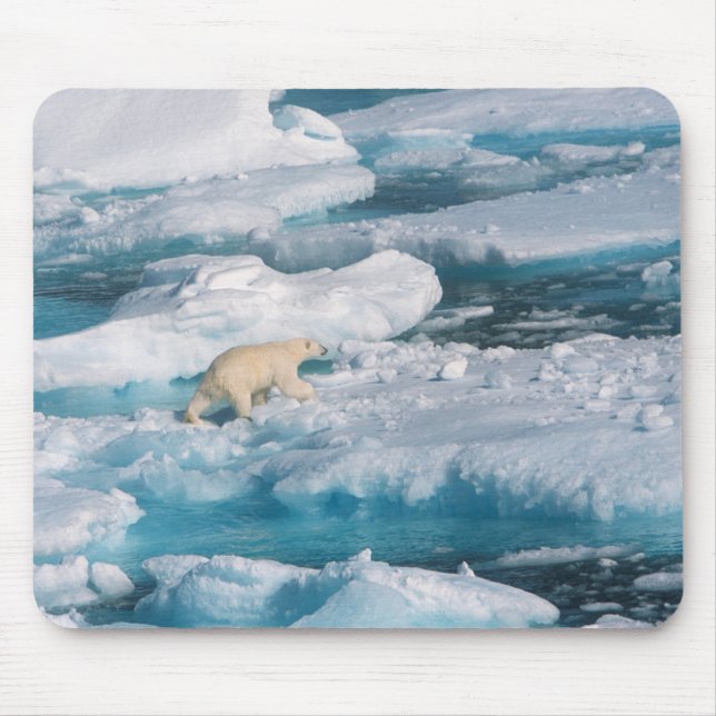 Mousepad Urso polar que anda no mar (Frente)
