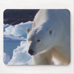 Mousepad Urso polar selvagem em Svalbard, (Spitsbergen)