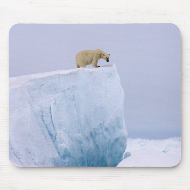 Mousepad urso polar, Ursus maritimus (Frente)