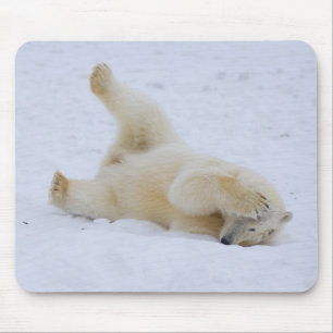 Mousepad urso polar, Ursus maritimus, filhote rolando