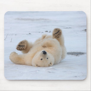 Mousepad urso polar, Ursus maritimus, filhote rolando 3