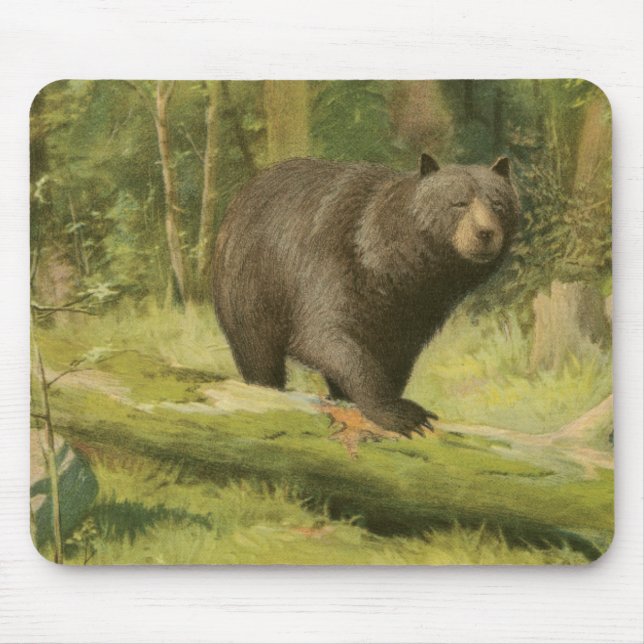 Mousepad Urso Preto a Passar num Tronco de Árvore (Frente)