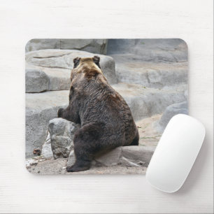 Mousepad Urso Sentado numa Pedra