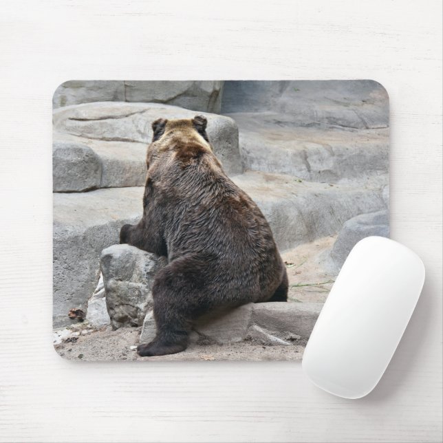 Mousepad Urso Sentado numa Pedra (Com mouse)