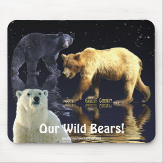 MOUSEPAD URSO, URSO PRETO E URSO