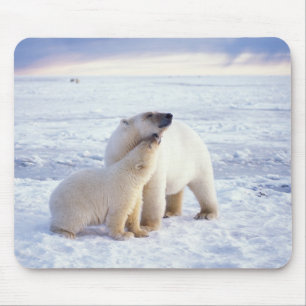 Mousepad Ursoaica com filhote, matilha