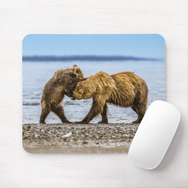 Mousepad Ursos castanhos costeiros (Com mouse)