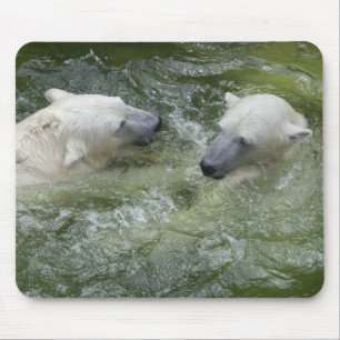 Mousepad Ursos polares