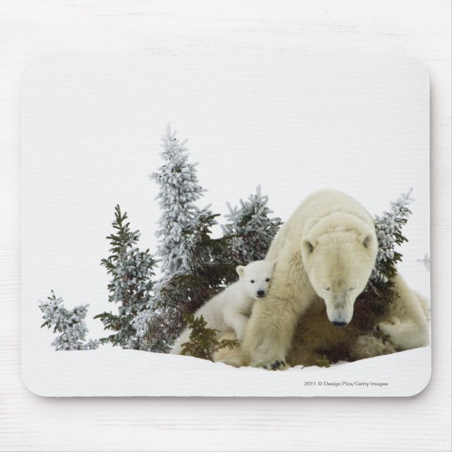 Mousepad Ursos polares no parque nacional de Wapusk (Frente)