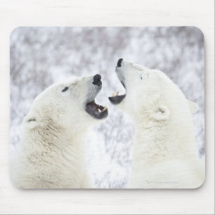 Mousepad Ursos polares que jogam na neve
