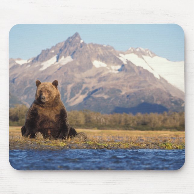Mousepad Ursus arctos, urso-pardo, Ursus (Frente)